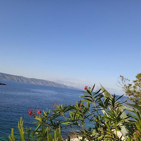 Mala Basina -Maslina Apartment Vrbanj Luaran gambar