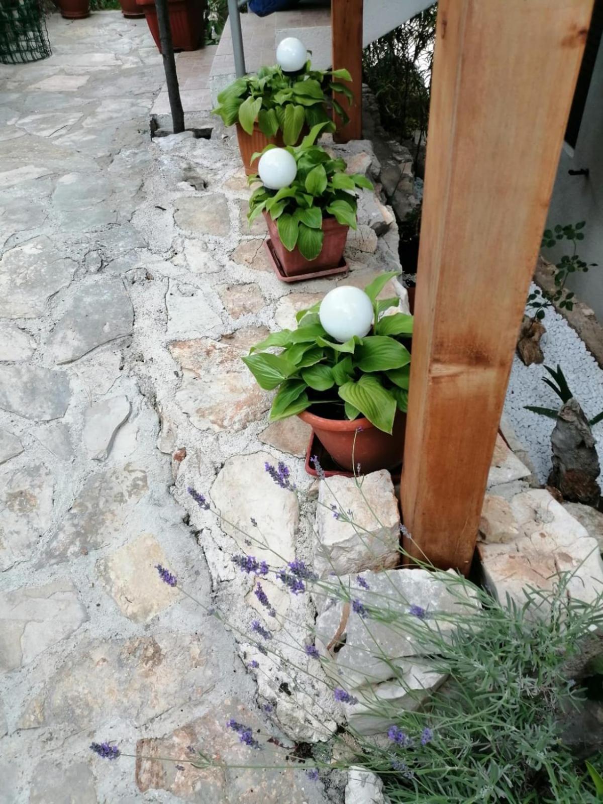 Mala Basina -Maslina Apartment Vrbanj Luaran gambar