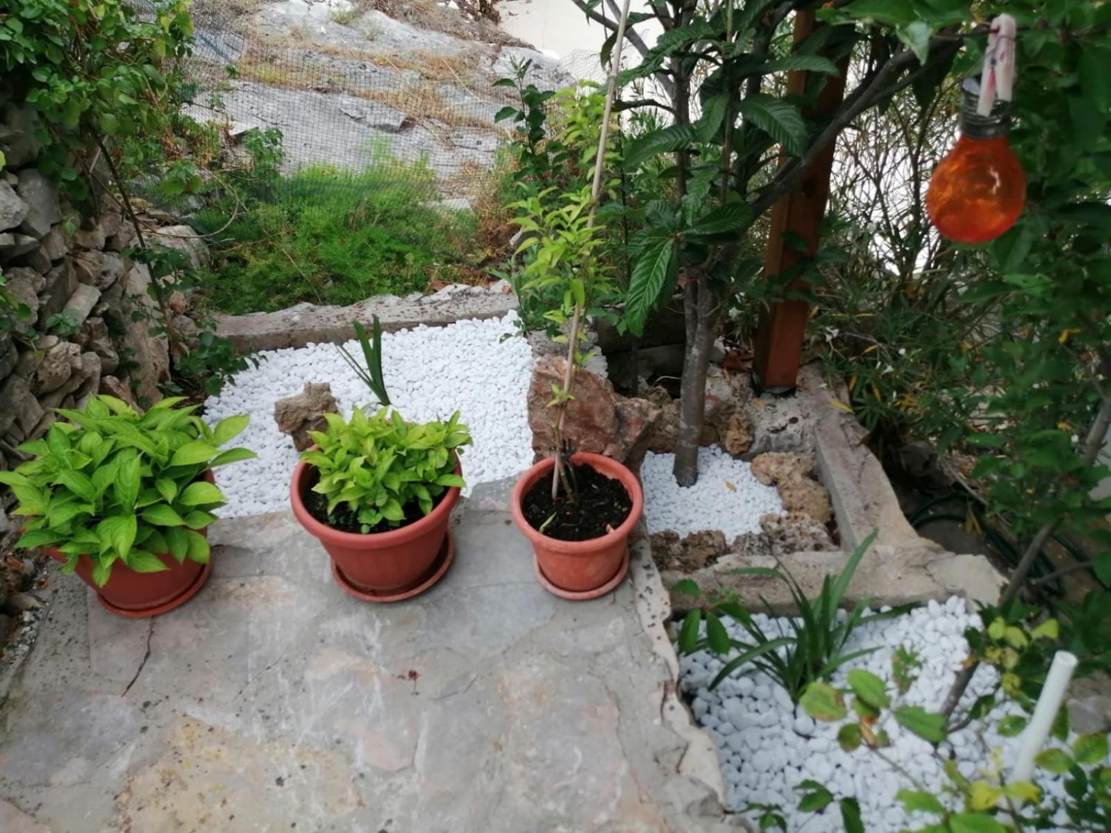 Mala Basina -Maslina Apartment Vrbanj Luaran gambar