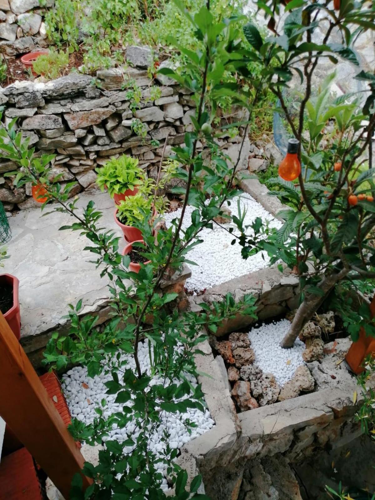 Mala Basina -Maslina Apartment Vrbanj Luaran gambar