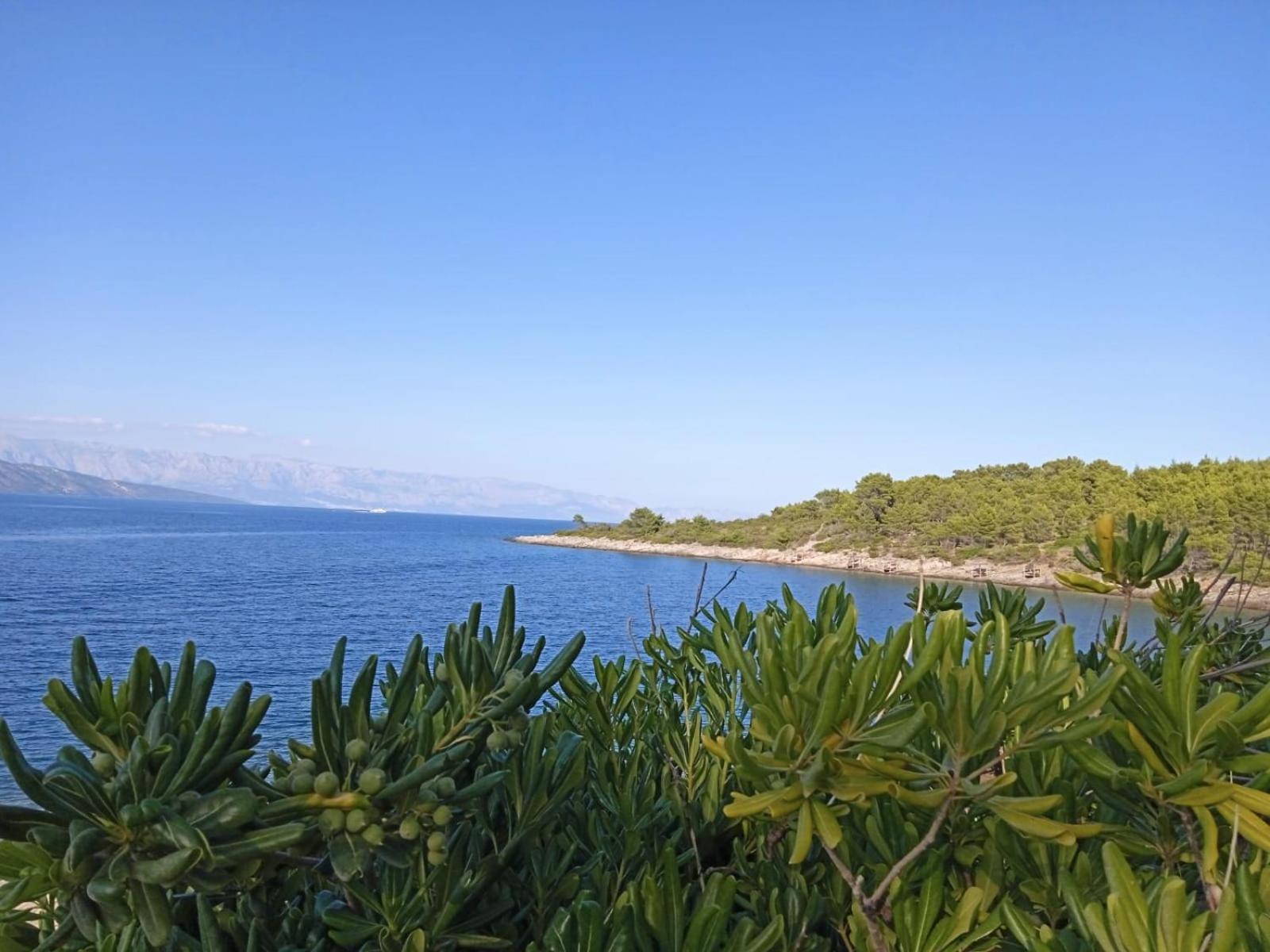 Mala Basina -Maslina Apartment Vrbanj Luaran gambar