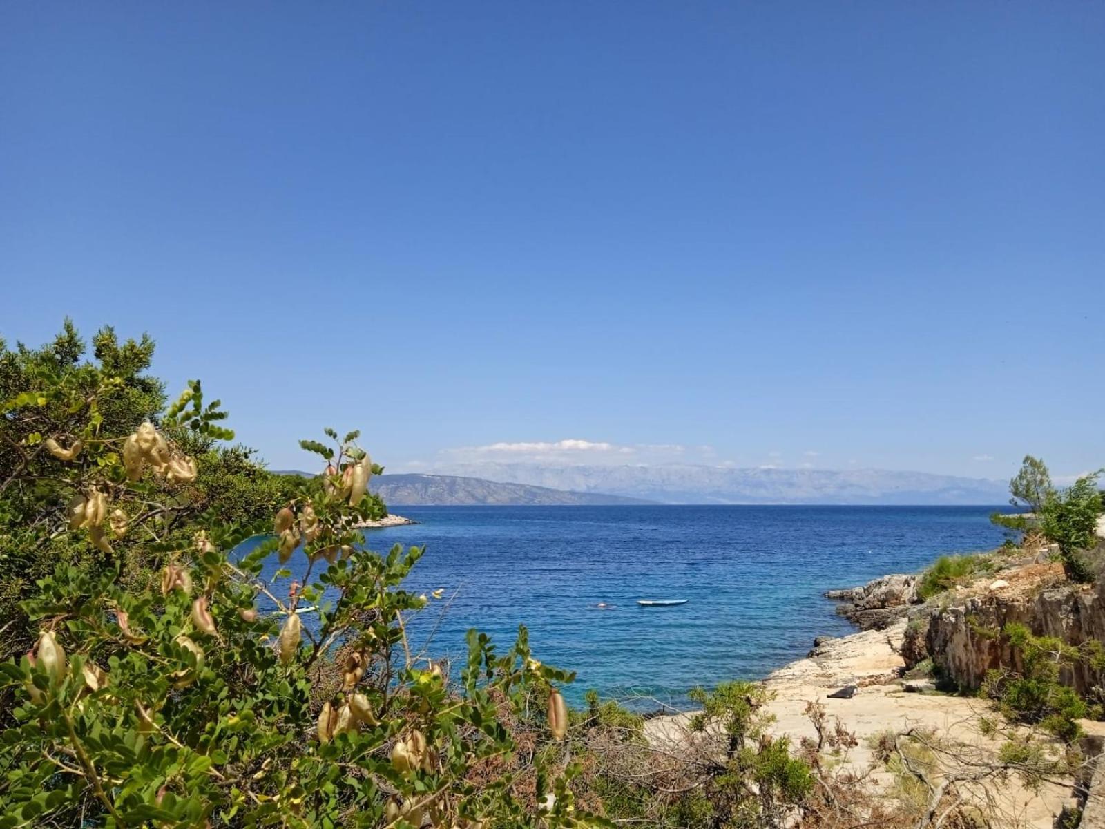 Mala Basina -Maslina Apartment Vrbanj Luaran gambar