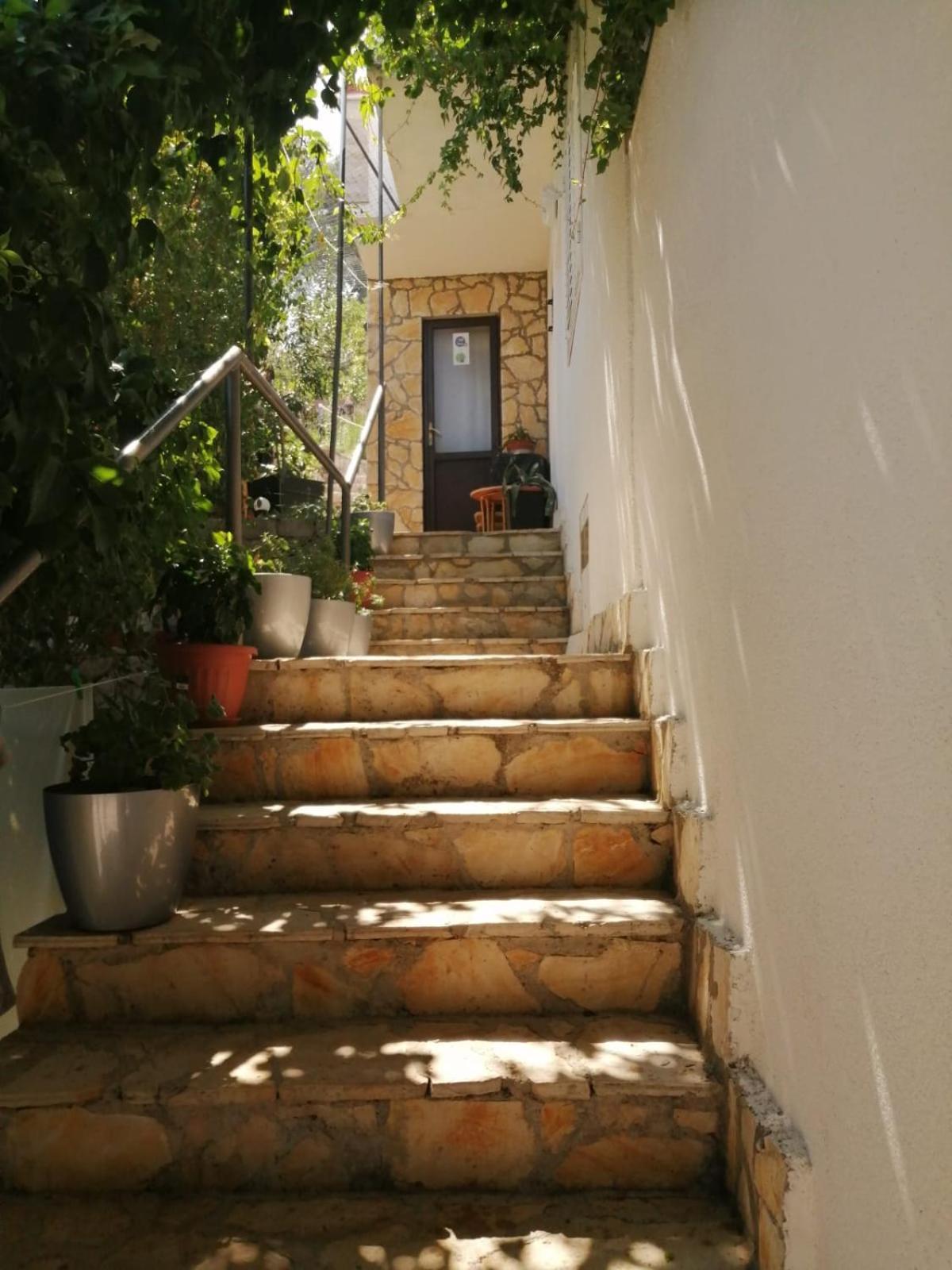 Mala Basina -Maslina Apartment Vrbanj Luaran gambar