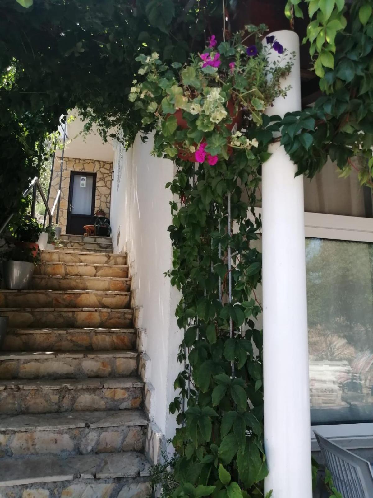 Mala Basina -Maslina Apartment Vrbanj Luaran gambar
